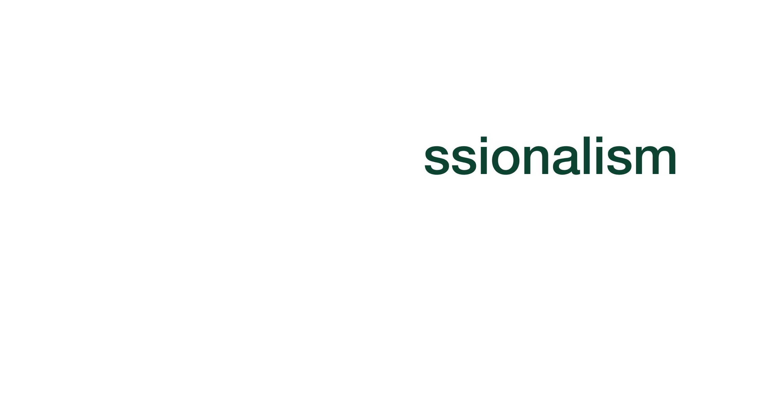 Our Professionalism